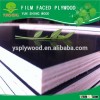 Factory Price Wholesale 18mm commercial plywood