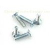 Professional Stainless Steel Bolts and Nuts / Go Kart Flat Head zinced