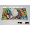 .Dinosaur Head Fossil Toy