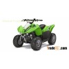 2013 Kawasaki KFX 50