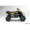 Can-Am DS 450 EFI Xmx 2013