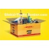 Door To Door DHL Express For General / Perishable Cargo