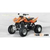Arctic Cat 300 DVX 2013