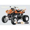 Arctic Cat 300 DVX 2013