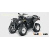 2013 Arctic Cat 300 2x4