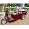 48V 20A / 30A Small Brushless Electric Cargo Tricycle Loader / 3 Wheeled Electric Scooter