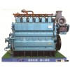 Dual Fuel Engine  Z210ZLC/S
