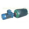 YZW Cast Iron Motorized Pulley System Transportation Electric Roller
