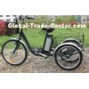 36V 10Ah 3 Wheel Electric Bike Drum Available Brake EN15194 Certification