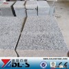Grey granite paving stone G603 size 20*10*5 flamed Paving Stone