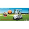 electric golf cart with single seat