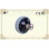 Electric Vehicle Brushed Hub Motor DC 24V 75W / Wheel Motors with Electromagnetic Brake