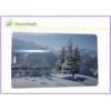 Two Sides Printing Popular Credit Card USB Storage Device