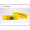 High speed 1G 16G 32G Silicon USB Flash Disk gift pendrive with hot plug and play