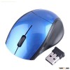 DPI Adjustable 2.4G Driver Wireless USB Mouse Optical Mouse