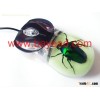 real insect amber optical mouse,so cool gift,office gift,business gift,Birtheday gift,cool presents,