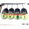 real insect optical USB computer mouse,so cool gift,business gift,office gift