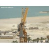 Construction Tower Crane (QTZ40(TC4808)) max load 4t---nicolemiao@crane2.com