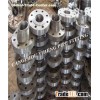 Manufacturer Of  Blind flange