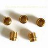 Brass / Copper Precision CNC Machining Parts, Precision Machined Parts Painting, E-coating Finish
