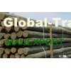 POLES impregnated of PINE 6-12m