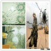 Bullet Proof Glass