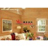 Ceramic Stone Paint