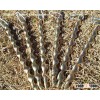 steel screw pegs
