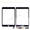 IPad 4 Digitizer
