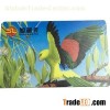PVC Plastic Card Without Chip