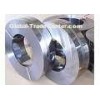 Aluminium Trim Strip