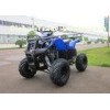 50CC / 70CC / 110CC Kids Mini ATV One Seat Four Wheeler For Beach