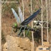 Animatronic Animal Dragonfly