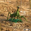 Mechanical Animal Mantis