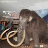 Prehistoric Animal Mammoth