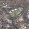 Animatronic Animal Frog