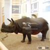 Life like Animal Model Rhinoceros