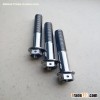 Titanium Flange Bolts With Holes