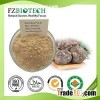 Maca Powder