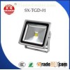 LED Flood Light