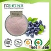 Blueberry Powder