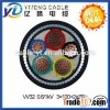 0.6/1KV Steel Tape|Wire Armoured XLPE Insulated Power Cable