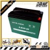 SLA Lead Acid Electric Bicycle Battery