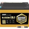 Deep Cycle Lead Acid Electric Bicycle Battery
