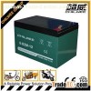 VRLA Lead Acid Electric Vehicle Battery