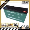Maintenance Free Lead Acid Electric Vehicle Battery