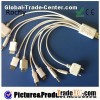 10 In 1 USB Cable