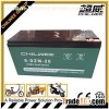 Maintenance Free Lead Acid Electric Bike Battery