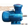 YB400-450 series high-voltage explosion proof three-phase asynchronous motor