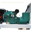 Cummins Diesel Generator